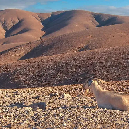 - Fuego - Surf & Yoga Appartamento