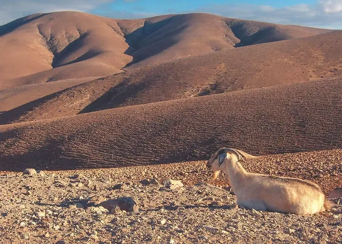 - Fuego - Surf & Yoga Apartman